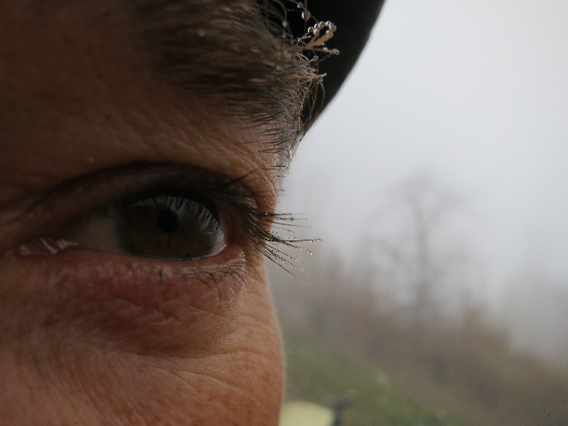 getruebte Sicht getruebte Sicht