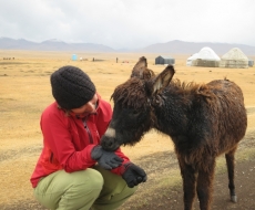 hier wurde fast das Rad eingetauscht
