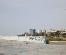 die Maggot war auch schon da