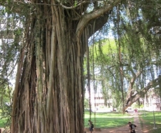 Manchmal kommt man sich sehr klein vor.