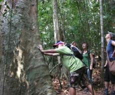 Mortz Kerl ... der Baum.