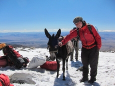 unser Freund am Basiscamp auf 3200m