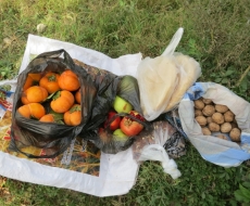 ein Teil unserer Essensgeschenke