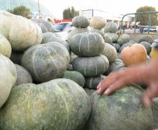 es war gerade Erntezeit