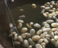 Kokon fuer Seidenproduktion