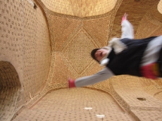 Deckenarbeit in Soltaniyeh mit Störenfried.