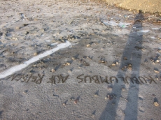 Kubulumbus auf Reisen!