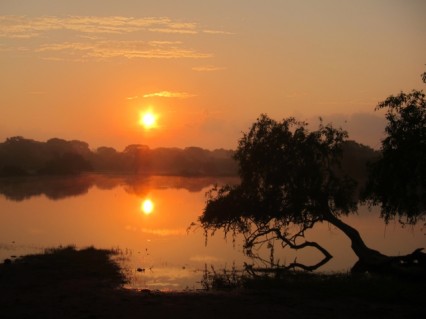 Im Nationalpark bei Sonnenaufgang!
